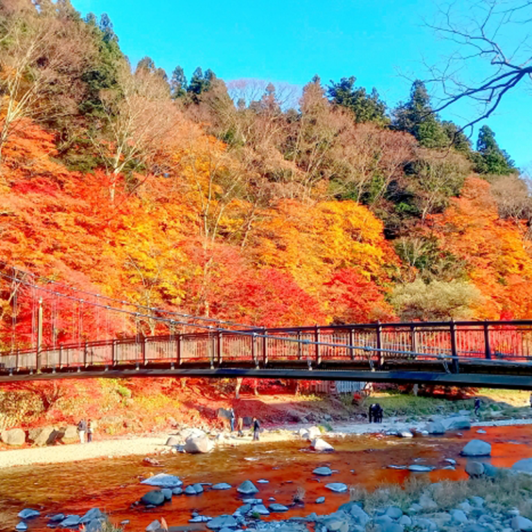 友の会・個人旅行 ボルテックスアーク